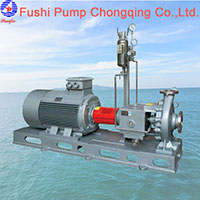 Horizontal Chemical Pump2.jpg